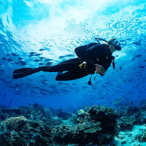 صورة سفلية 1